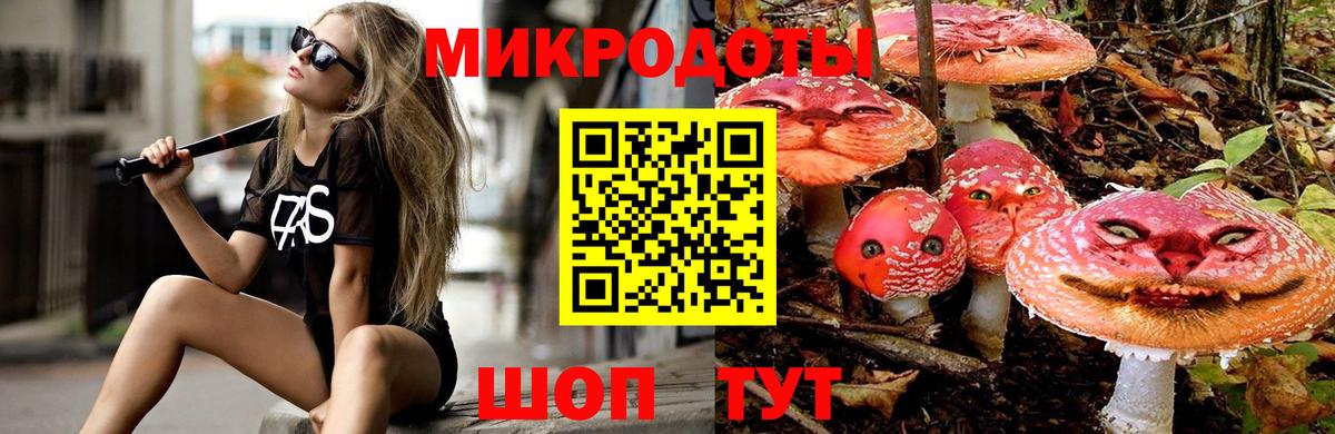 Псилоцибиновые грибы Psilocybine cubensis  Вход с VPN  Людиново 